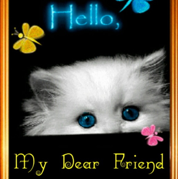 Meet your Posher, Tracy - Picture 1 of 1